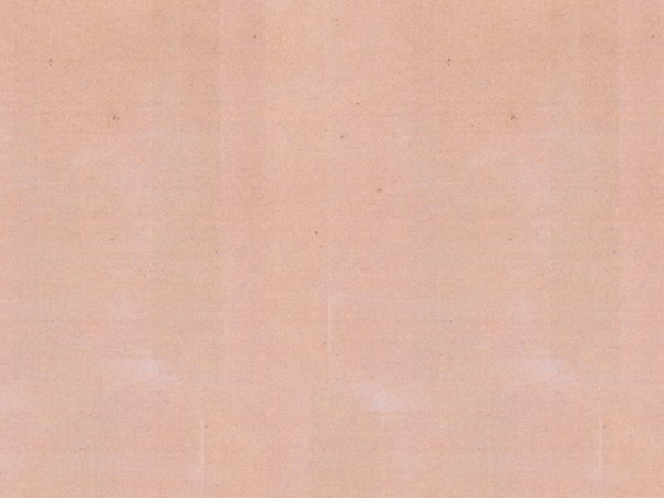Dholpur Pink