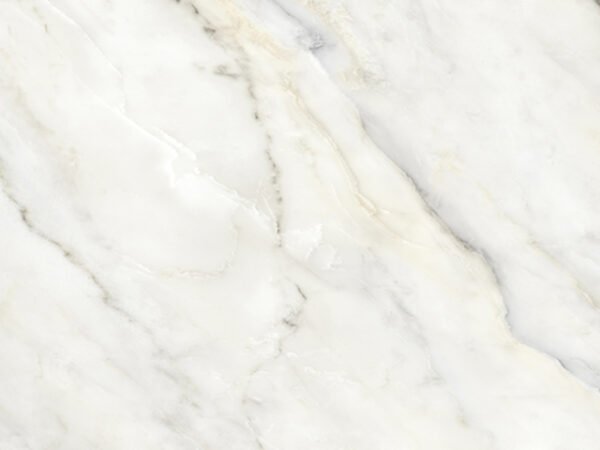 Elegant White