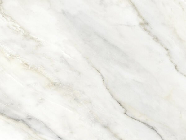 Elegant White