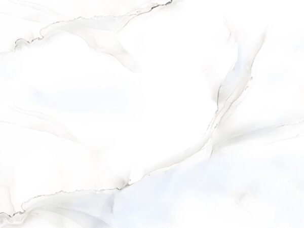 ICE ONYX