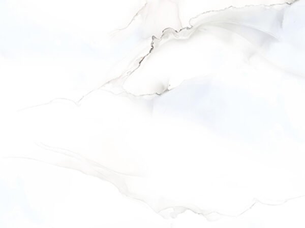 ICE ONYX
