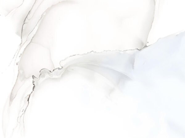 ICE ONYX