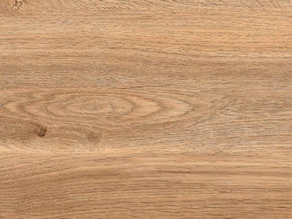 Trunk Wood