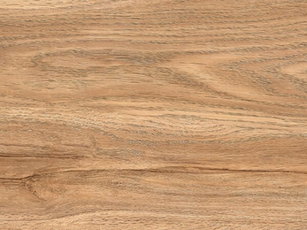Trunk Wood
