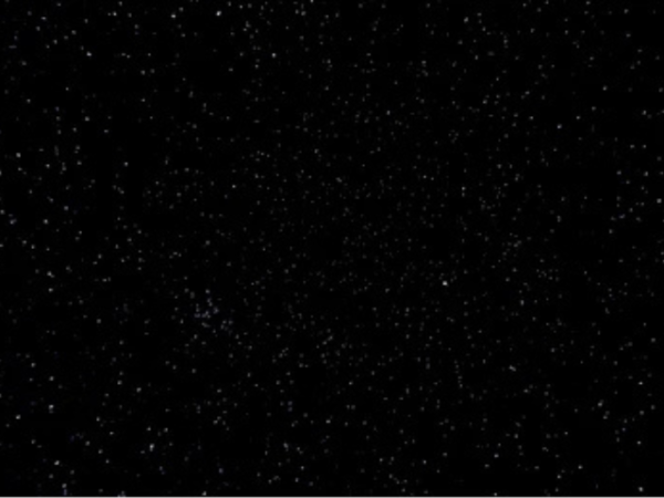 Black Starlight